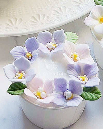 Official Japanese Flower Bath Fizz Diploma